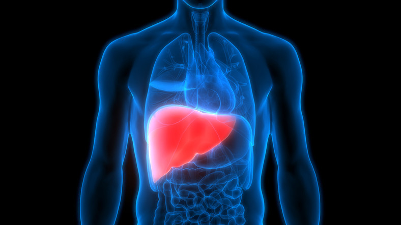Its The New Year - Love Your Liver