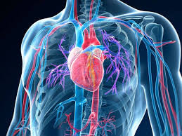 Subtle Warning Signs something Could be Wrong with Your Heart.