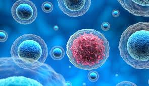 Scientists Crack How Asprin Might Stop Cancers From Spreading